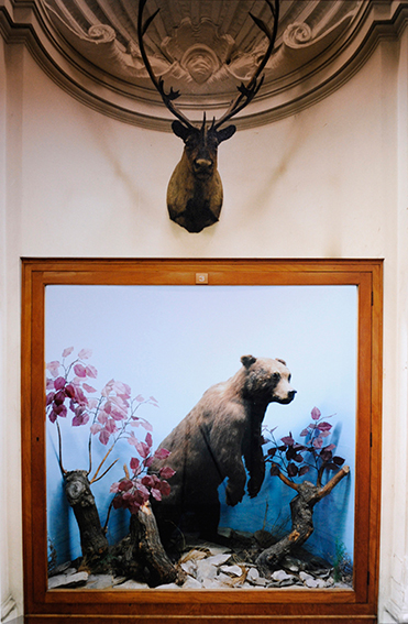 Biennale di Venezia Padiglione Italia, 2011