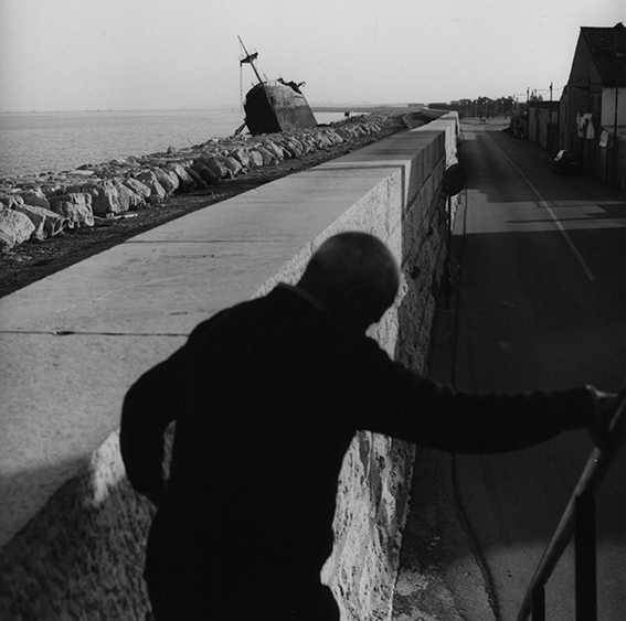 Tra passione e professione – Mura a Mare Genova/Venezia 2008