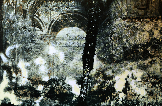 Il Furore delle Immagini, 2010